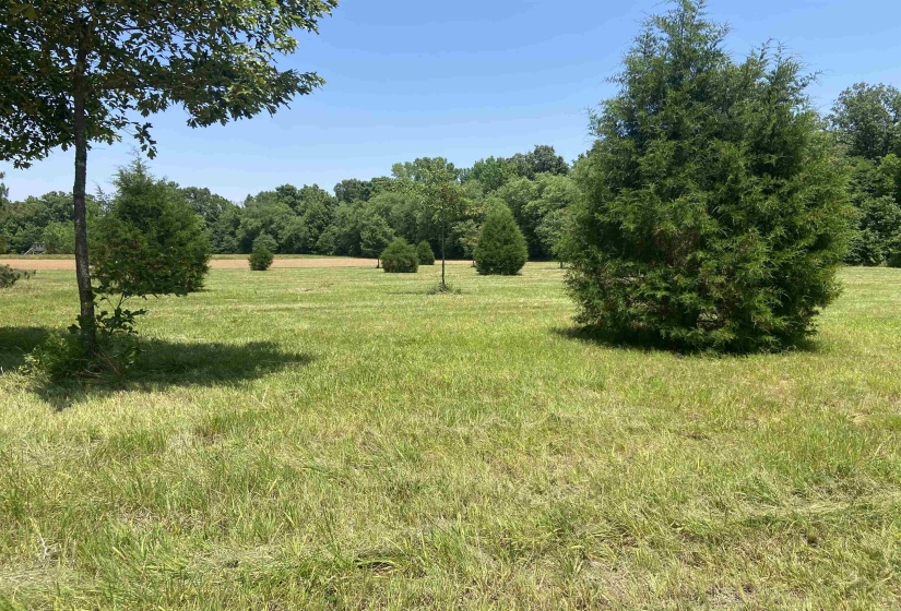 0 BRUCE RD, Whiteville, Tennessee 38075, ,Land,For Sale,BRUCE,10213186