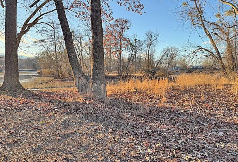 HARRY TERRY DR, Savannah, Tennessee 38372, ,Land,For Sale,HARRY TERRY,10213190