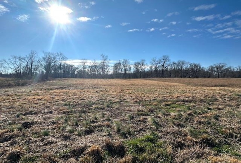 136 RIVER RUN ESTATES/CRAVENS RD, Savannah, Tennessee 38372, ,Land,For Sale,RIVER RUN ESTATES/CRAVENS,10213233