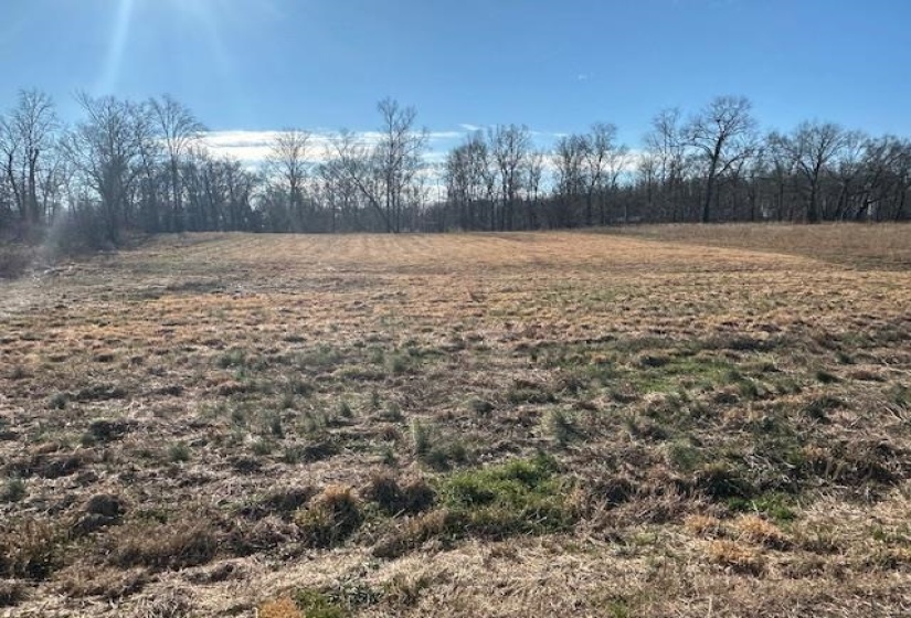136 RIVER RUN ESTATES/CRAVENS RD, Savannah, Tennessee 38372, ,Land,For Sale,RIVER RUN ESTATES/CRAVENS,10213233