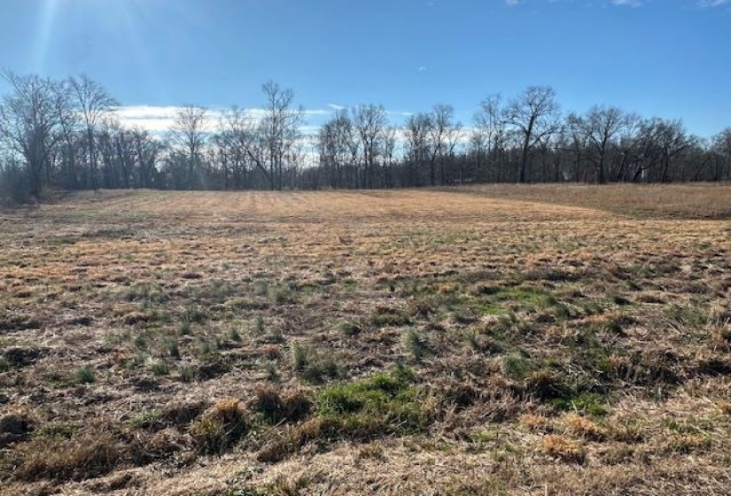 136 RIVER RUN ESTATES/CRAVENS RD, Savannah, Tennessee 38372, ,Land,For Sale,RIVER RUN ESTATES/CRAVENS,10213233