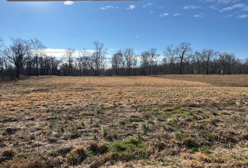 136 RIVER RUN ESTATES/CRAVENS RD, Savannah, Tennessee 38372, ,Land,For Sale,RIVER RUN ESTATES/CRAVENS,10213233