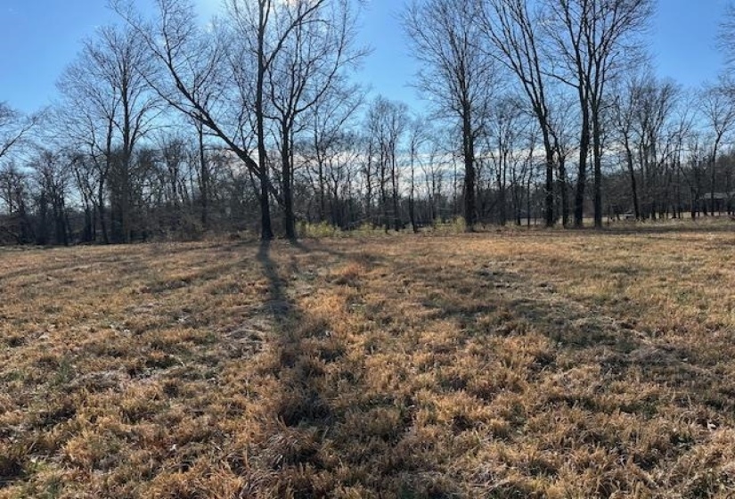 136 RIVER RUN ESTATES/CRAVENS RD, Savannah, Tennessee 38372, ,Land,For Sale,RIVER RUN ESTATES/CRAVENS,10213233