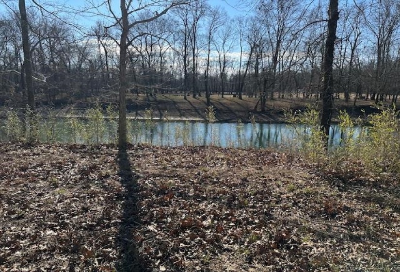 136 RIVER RUN ESTATES/CRAVENS RD, Savannah, Tennessee 38372, ,Land,For Sale,RIVER RUN ESTATES/CRAVENS,10213233
