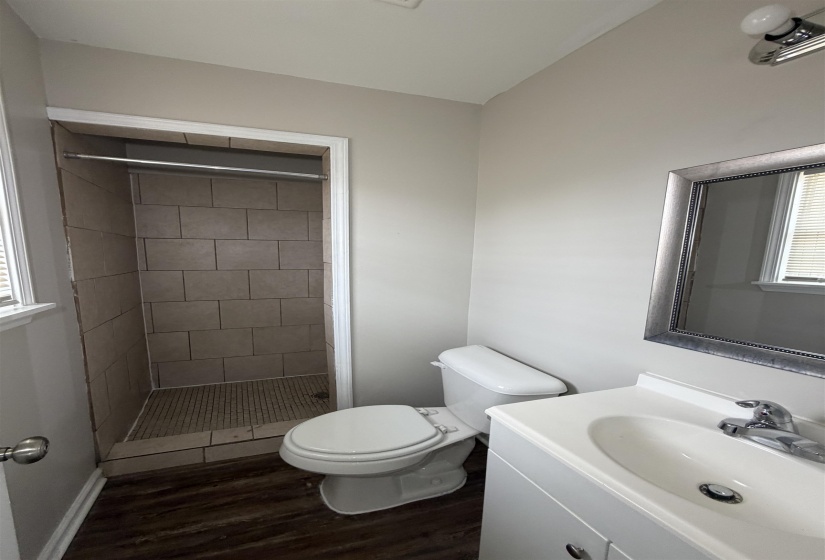 Bathroom featuring plenty of natural light, vanity, dark wood-type flooring, and a stall shower