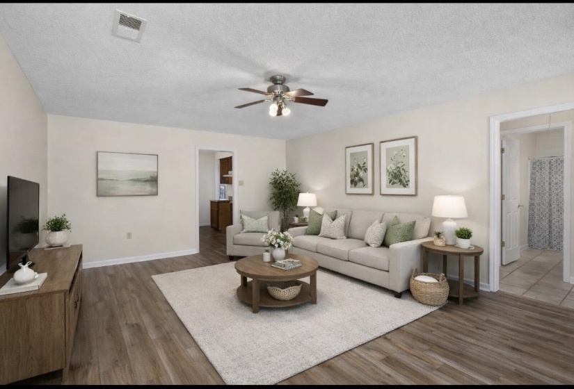Staged picture of the living room