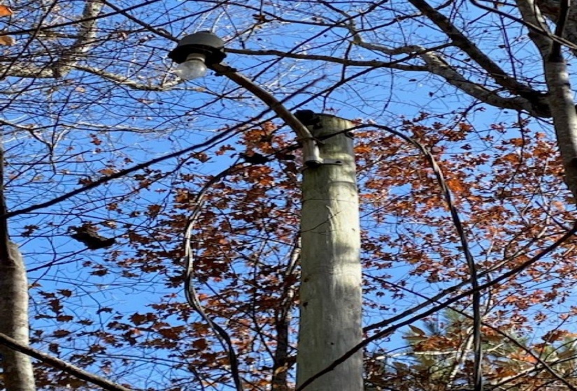 Exterior view of a water meter