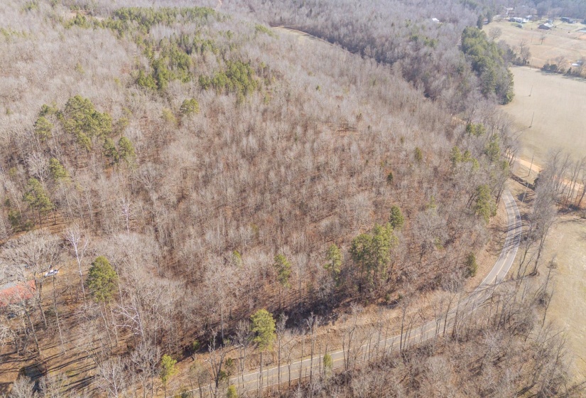 Aerial view of property's location featuring a forest