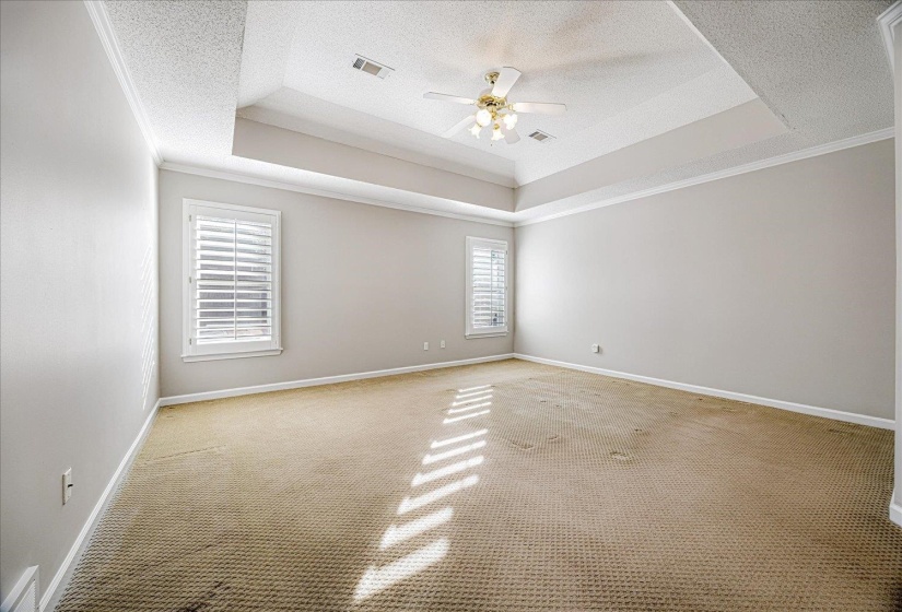 Unfurnished room with carpet floors, a ceiling fan, a textured ceiling, ornamental molding, and a tray ceiling