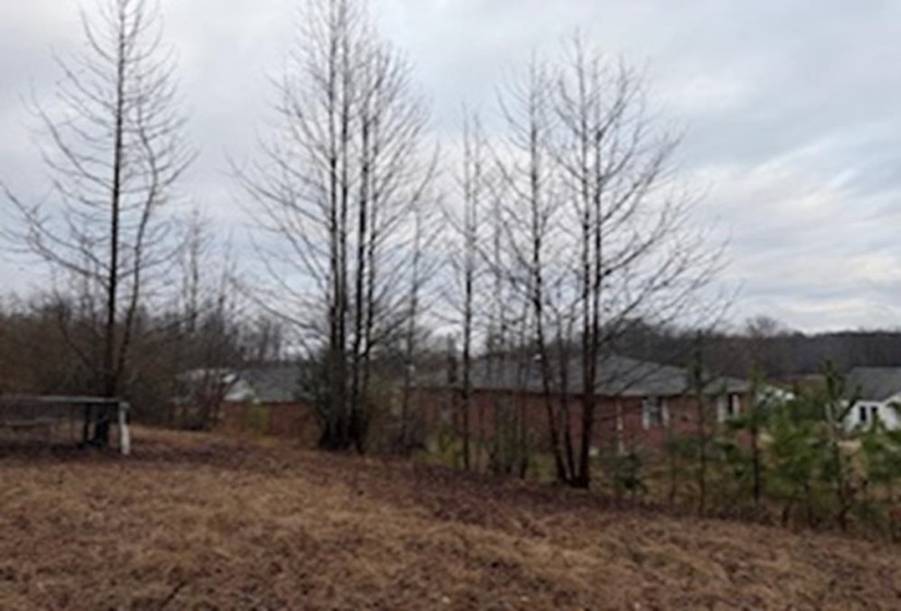 11704 LEAPWOOD ENVILLE RD, Enville, Tennessee 38332, 3 Bedrooms Bedrooms, 6 Rooms Rooms,2 BathroomsBathrooms,Residential,For Sale,LEAPWOOD ENVILLE,10213530