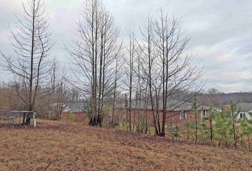 11704 LEAPWOOD ENVILLE RD, Enville, Tennessee 38332, 3 Bedrooms Bedrooms, 6 Rooms Rooms,2 BathroomsBathrooms,Residential,For Sale,LEAPWOOD ENVILLE,10213530