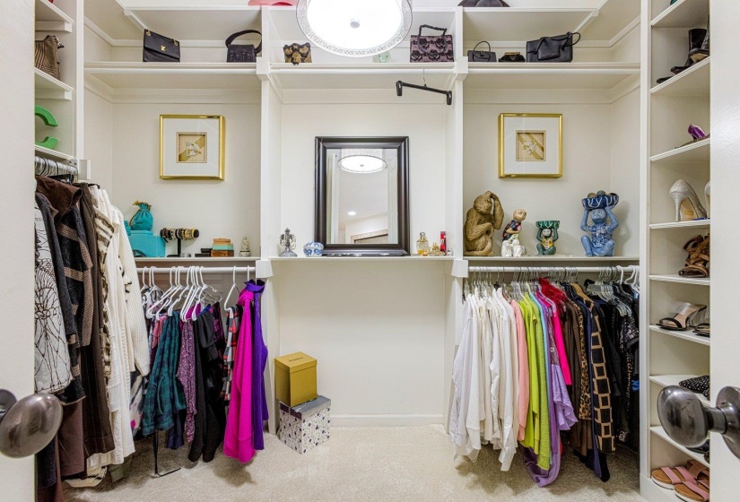 Spacious closet featuring carpet