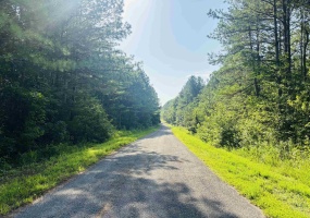 0 OLD LULA RD, Reagan, Tennessee 38368, ,Land,For Sale,OLD LULA,10213549 0 OLD LULA RD, Reagan, Tennessee 38368, ,Land,For Sale,OLD LULA,10213549