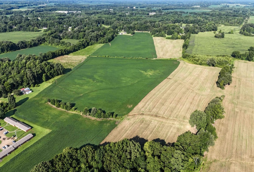 Mason, Tennessee 38049, ,Land,For Sale,10213553