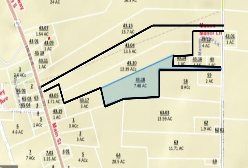 Mason, Tennessee 38049, ,Land,For Sale,10213553