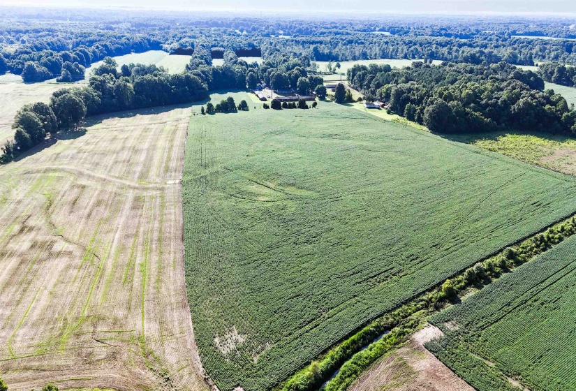 Mason, Tennessee 38049, ,Land,For Sale,10213553