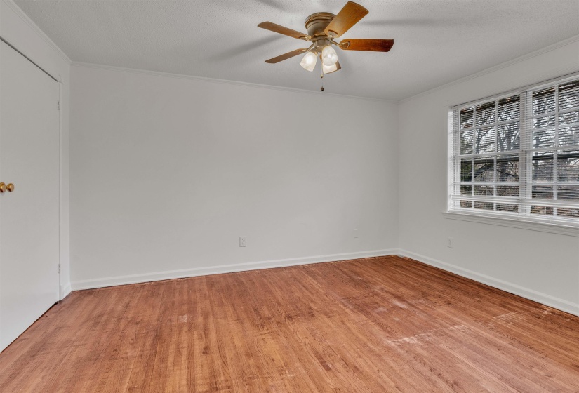 Empty room featuring light wood-style floors, ornamental molding, ceiling fan, and a textured ceiling