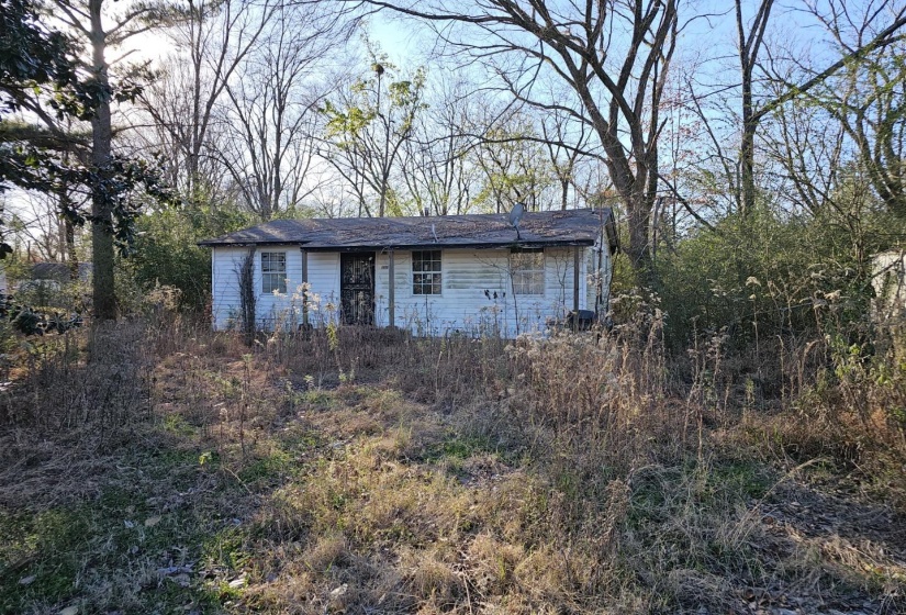 1145 BELL GROVE RD, Oakland, Tennessee 38060, ,Land,For Sale,BELL GROVE,10213563