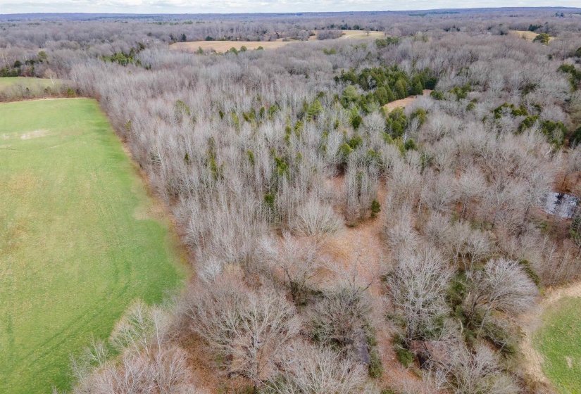 00 HWY 64 HWY, Somerville, Tennessee 38068, 0 , 0 ,0,Land,For Sale,HWY 64,0,10213565