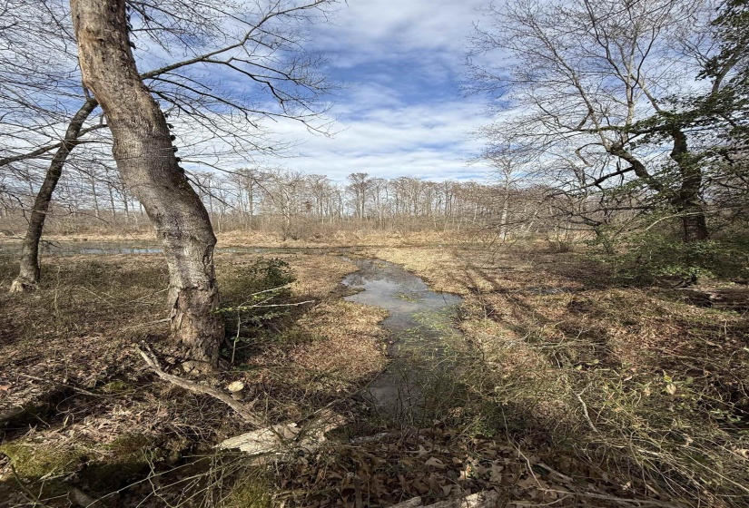 00 HWY 64 HWY, Somerville, Tennessee 38068, 0 , 0 ,0,Land,For Sale,HWY 64,0,10213565