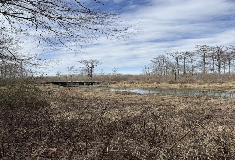 00 HWY 64 HWY, Somerville, Tennessee 38068, 0 , 0 ,0,Land,For Sale,HWY 64,0,10213565