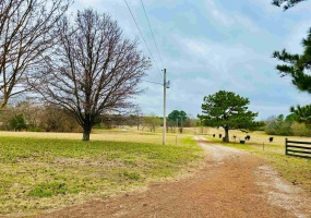 15 US HIGHWAY 64 HWY, Whiteville, Tennessee 38075-7455, ,Commercial/industrial,For Sale,US HIGHWAY 64,10213572 15 US HIGHWAY 64 HWY, Whiteville, Tennessee 38075-7455, ,Commercial/industrial,For Sale,US HIGHWAY 64,10213572