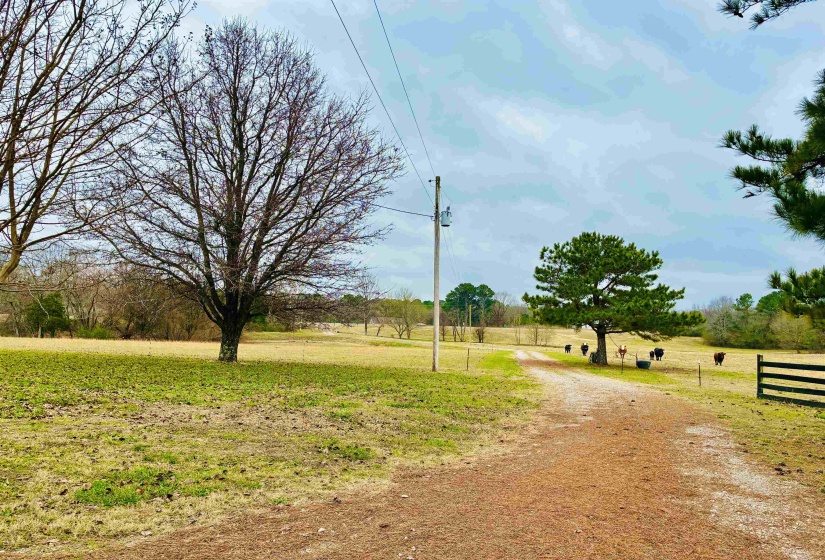 15 US HIGHWAY 64 HWY, Whiteville, Tennessee 38075-7455, ,Commercial/industrial,For Sale,US HIGHWAY 64,10213572