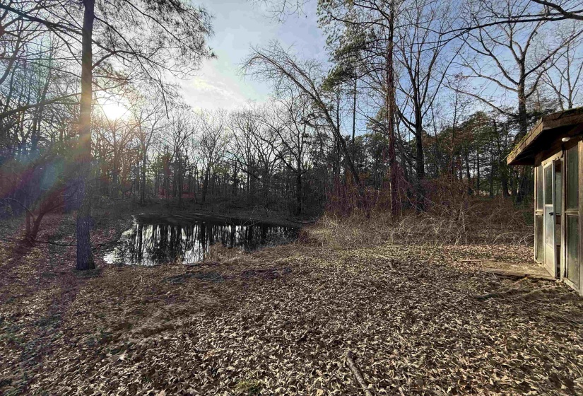 1830 OLD BROWNSVILLE RD, Somerville, Tennessee 38068, 3 Bedrooms Bedrooms, 9 Rooms Rooms,2 BathroomsBathrooms,Residential,For Sale,OLD BROWNSVILLE,10213576