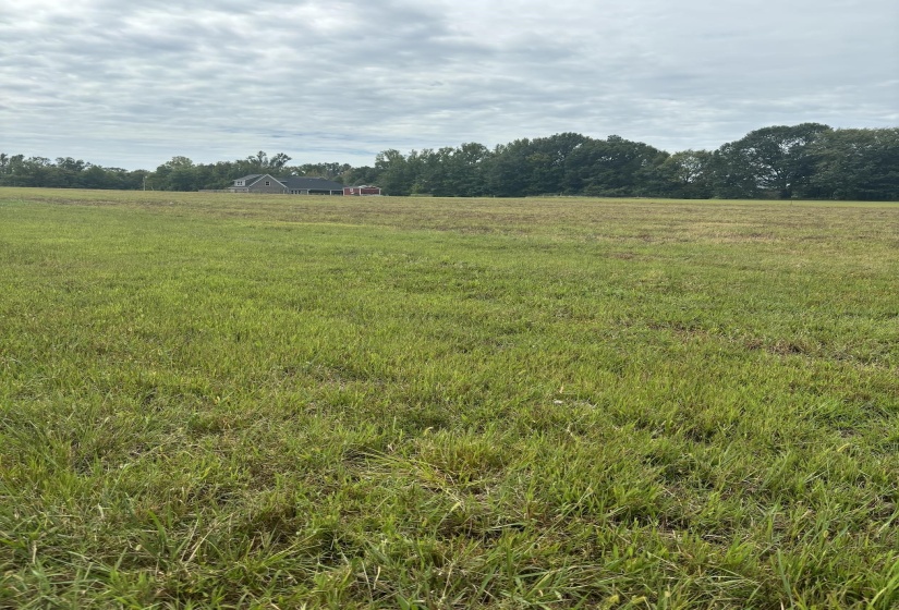 View of nature featuring a rural view