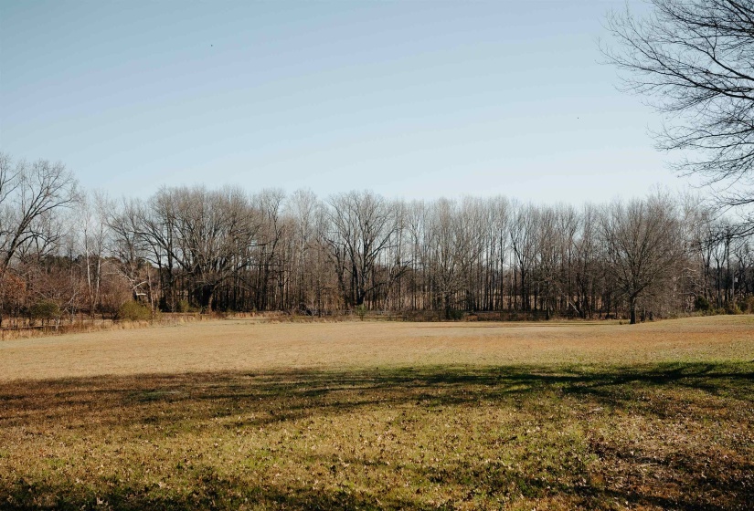 1275 QUINN RD, Collierville, Tennessee 38017, 4 Bedrooms Bedrooms, 9 Rooms Rooms,3.1 BathroomsBathrooms,Residential,For Sale,QUINN,10213610