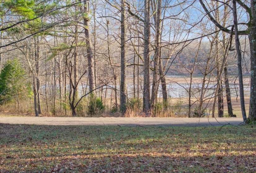90 ARROWHEAD CIR, Parsons, Tennessee 38363, ,Land,For Sale,ARROWHEAD,10213625