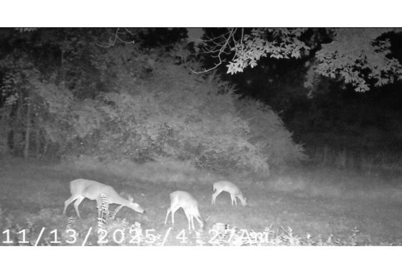 5088 GERMANTOWN RD, Unicorp/Memphis, Tennessee 38141, ,Land,For Sale,GERMANTOWN,10213631