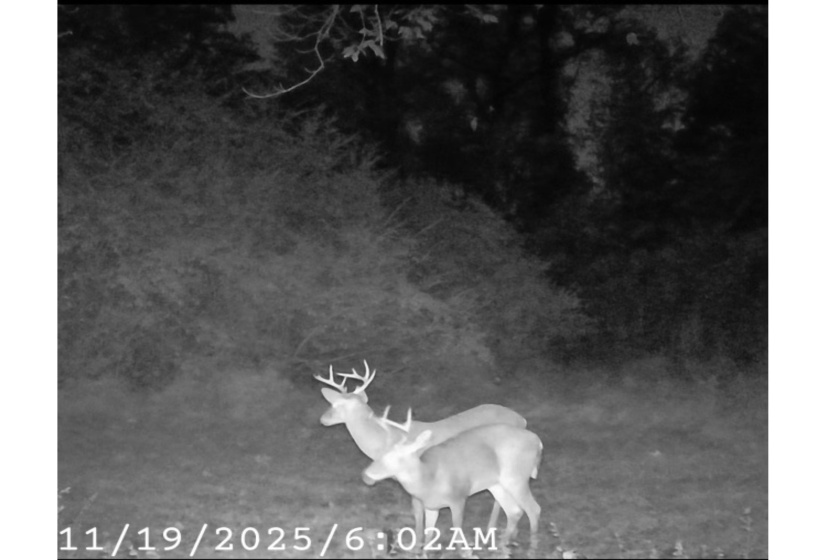 5088 GERMANTOWN RD, Unicorp/Memphis, Tennessee 38141, ,Land,For Sale,GERMANTOWN,10213631