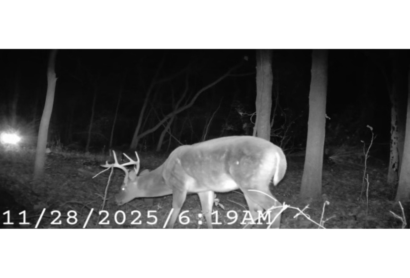 5088 GERMANTOWN RD, Unicorp/Memphis, Tennessee 38141, ,Land,For Sale,GERMANTOWN,10213631