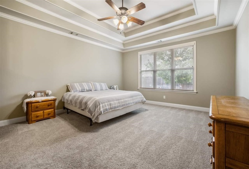 Carpeted bedroom featuring crown molding, a ceiling fan, and a raised ceiling