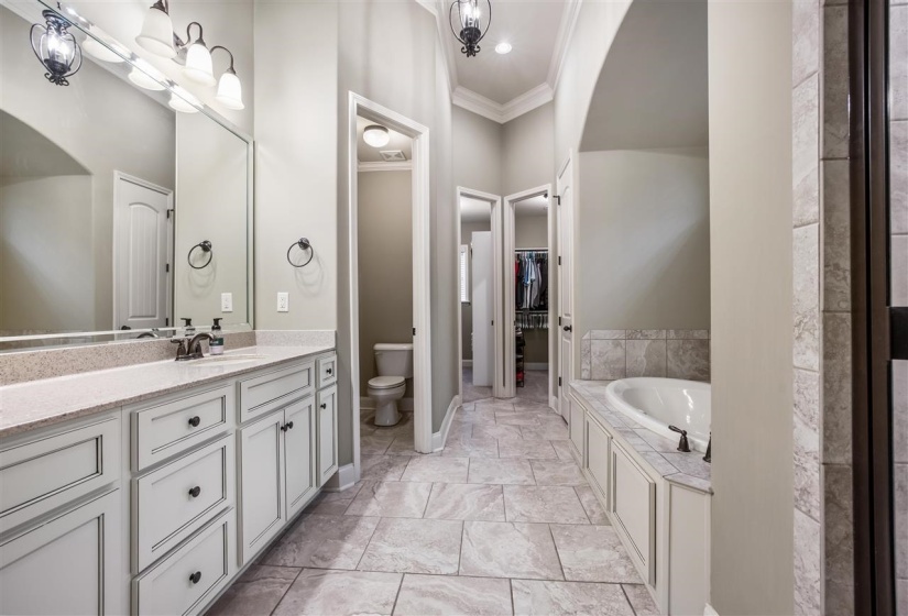 Full bathroom with ornamental molding, vanity, a bath, and a spacious closet