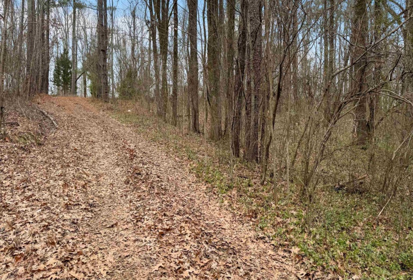 471 MILTON RD, Millington, Tennessee 38053, 3 Bedrooms Bedrooms, 6 Rooms Rooms,2 BathroomsBathrooms,Residential,For Sale,MILTON,10213630