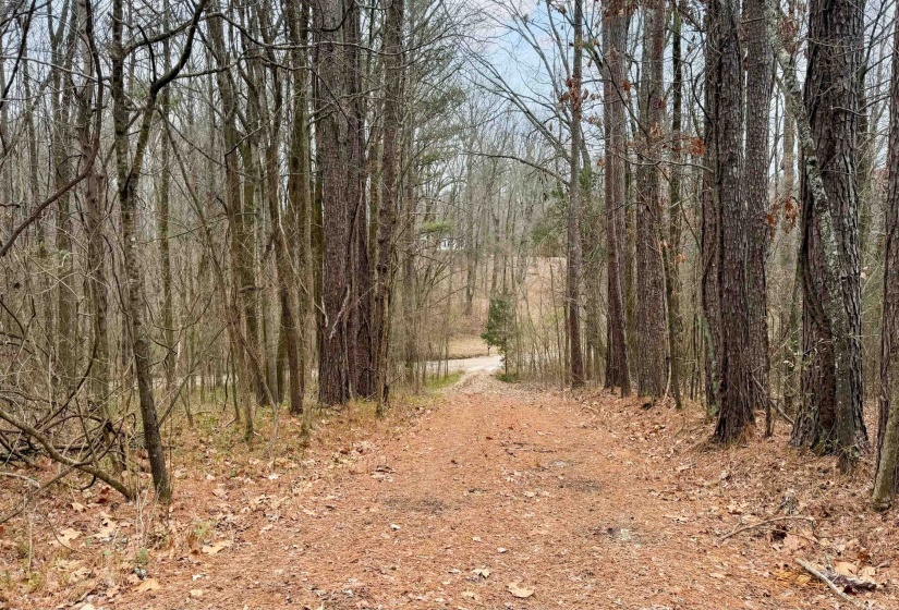 471 MILTON RD, Millington, Tennessee 38053, 3 Bedrooms Bedrooms, 6 Rooms Rooms,2 BathroomsBathrooms,Residential,For Sale,MILTON,10213630