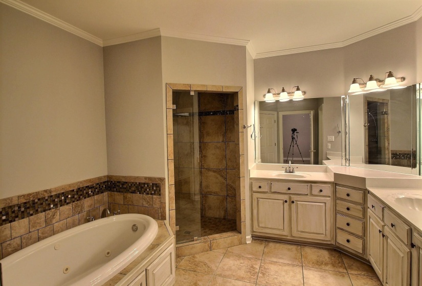 255 ELLAWOOD LN, Collierville, Tennessee 38017, 4 Bedrooms Bedrooms, 9 Rooms Rooms,3 BathroomsBathrooms,Residential,For Sale,ELLAWOOD,10213636