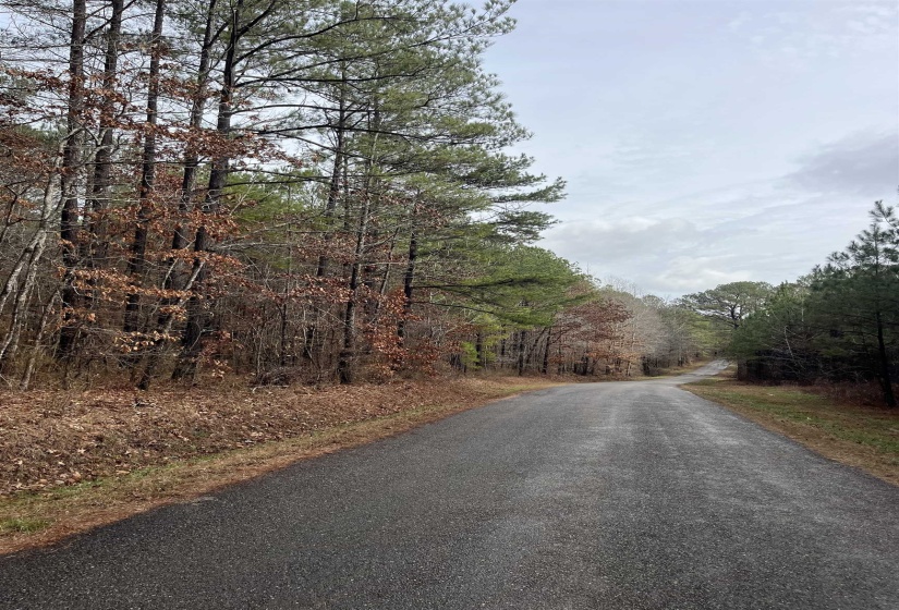 View of asphalt road with a forest view