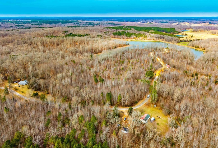 Drone / aerial view of a forest and a nearby body of water
