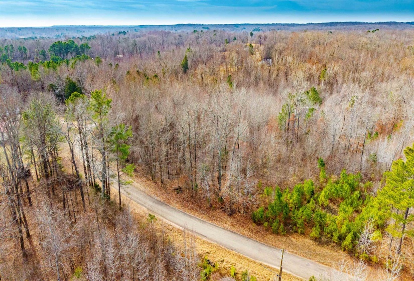 Bird's eye view of a heavily wooded area