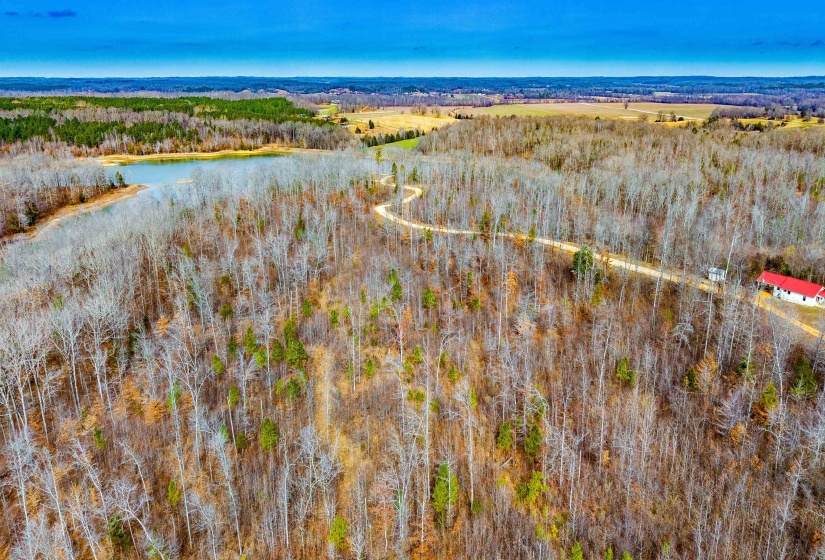 Bird's eye view of a forest and a large body of water