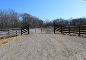 000 VILDO RD, Bolivar, Tennessee 38008, ,Land,For Sale,VILDO,10213653 000 VILDO RD, Bolivar, Tennessee 38008, ,Land,For Sale,VILDO,10213653