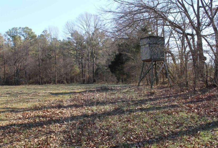 00 VILDO RD, Bolivar, Tennessee 38008, ,Land,For Sale,VILDO,10213654