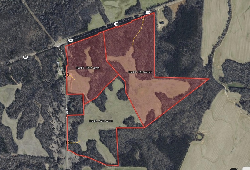 00 VILDO RD, Bolivar, Tennessee 38008, ,Land,For Sale,VILDO,10213654