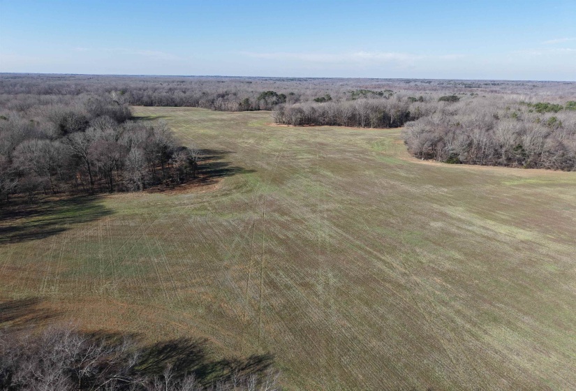 00 VILDO RD, Bolivar, Tennessee 38008, ,Land,For Sale,VILDO,10213654