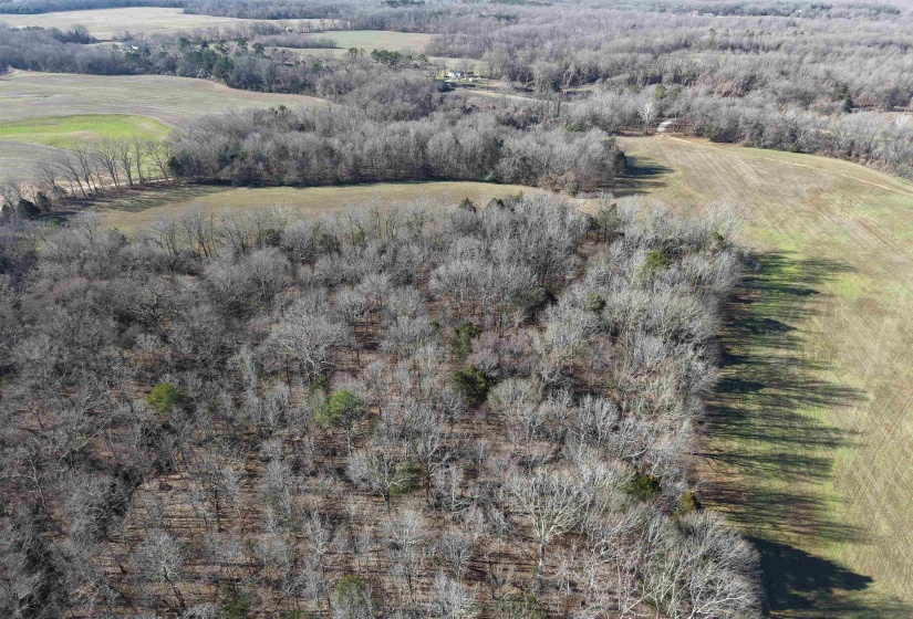 00 VILDO RD, Bolivar, Tennessee 38008, ,Land,For Sale,VILDO,10213654