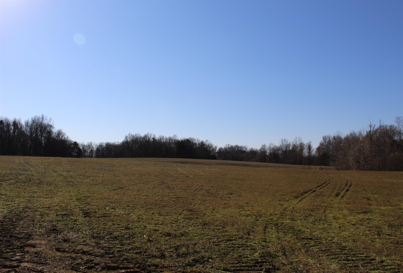 00 VILDO RD, Bolivar, Tennessee 38008, ,Land,For Sale,VILDO,10213654