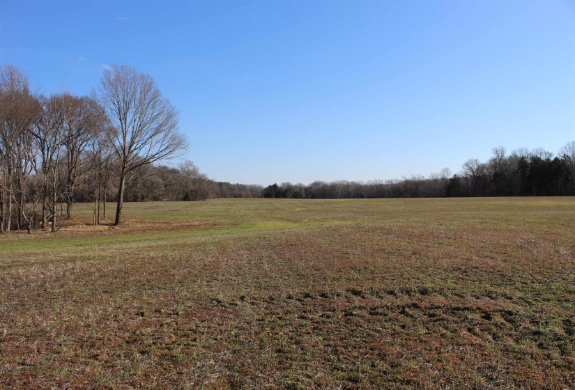 00 VILDO RD, Bolivar, Tennessee 38008, ,Land,For Sale,VILDO,10213654